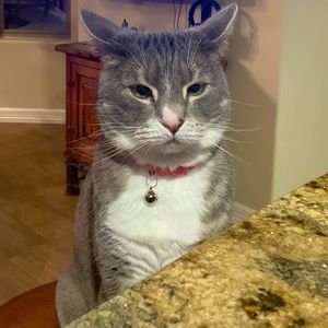 Meet your Posher, Marcia